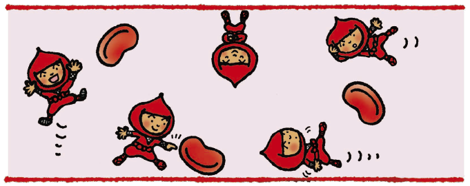 血は体の中で何をしているの?