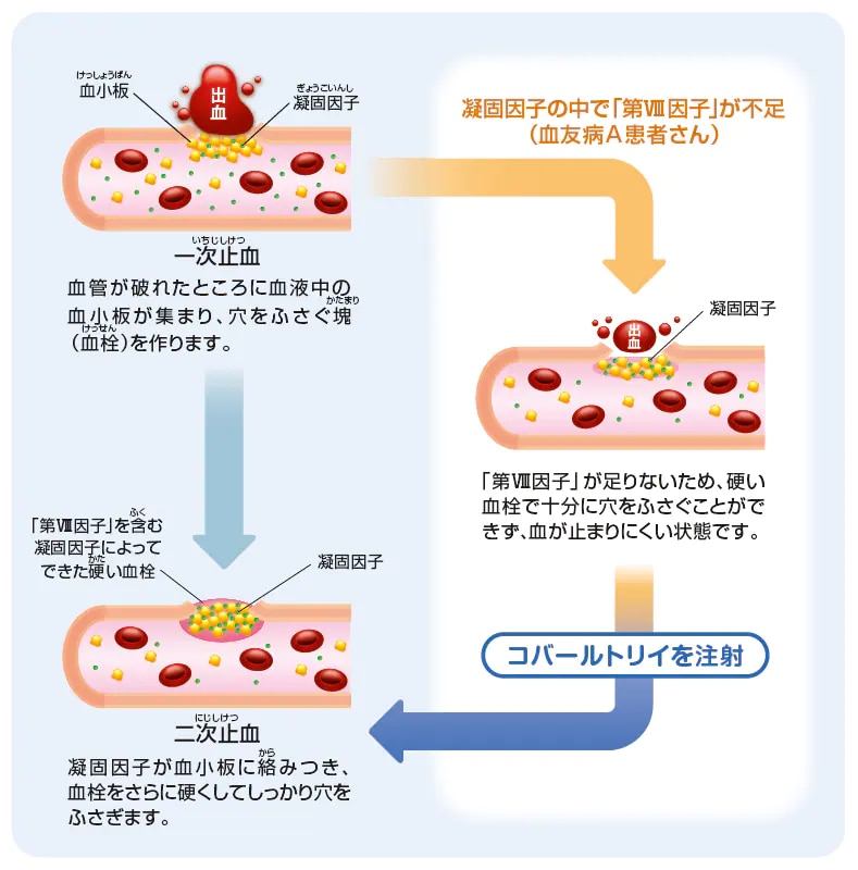 血が固まるまで